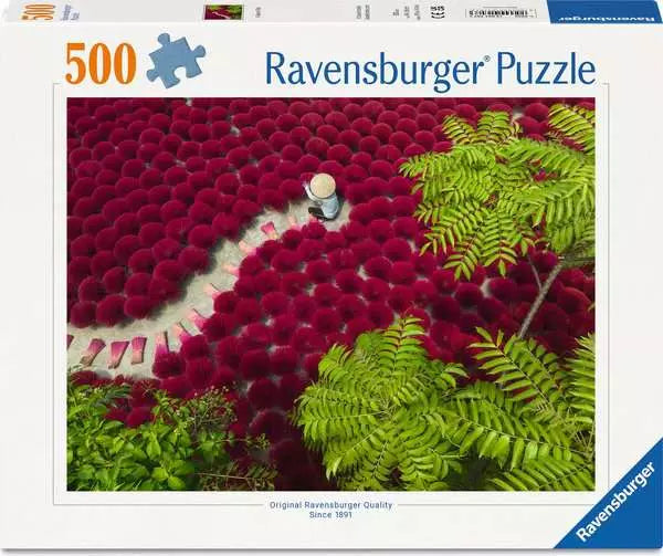 Ravens 500 - Un océan de rouge