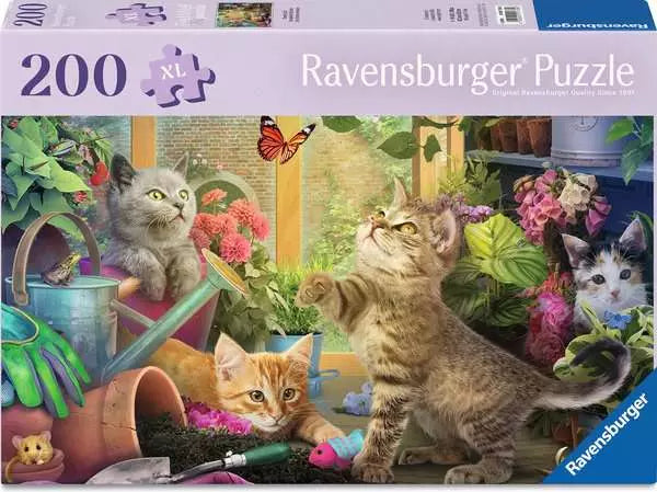 Ravens 200XL - Des chatons enjoués