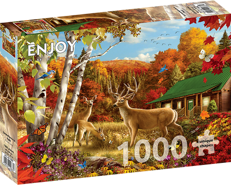 Enjou 1000 - Somewhere in a field