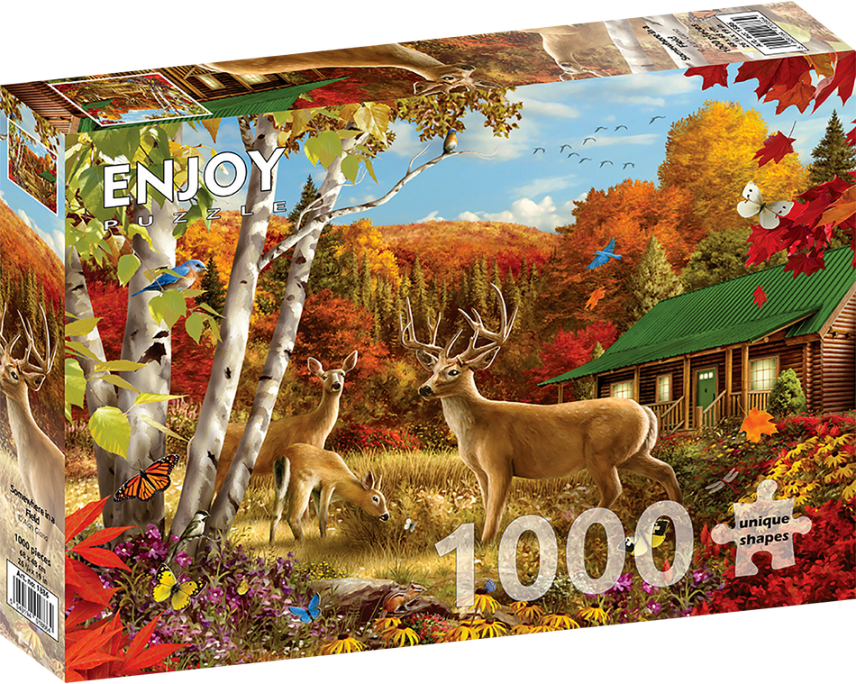 Enjou 1000 - Somewhere in a field