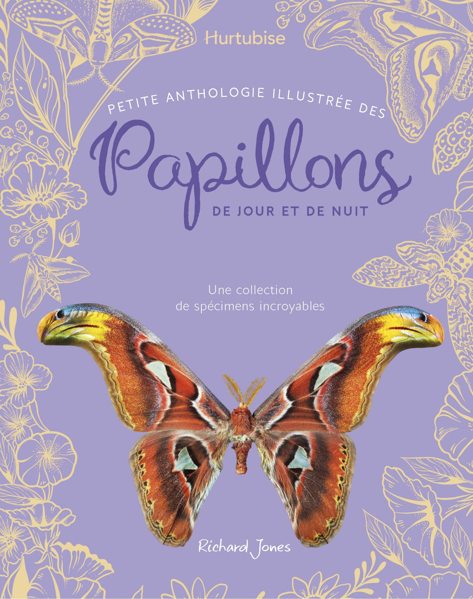 Petite anthologie illustrée des papillons de jour et de nuit