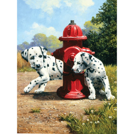Royal Painting by numbers- Coucou