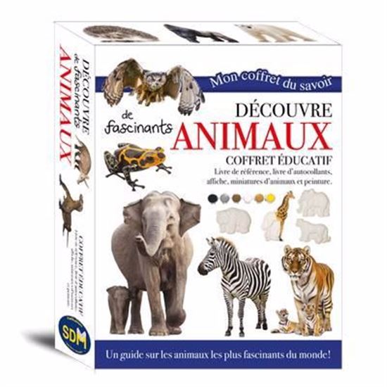Coffret éducatif - Découvre de fascinants animaux