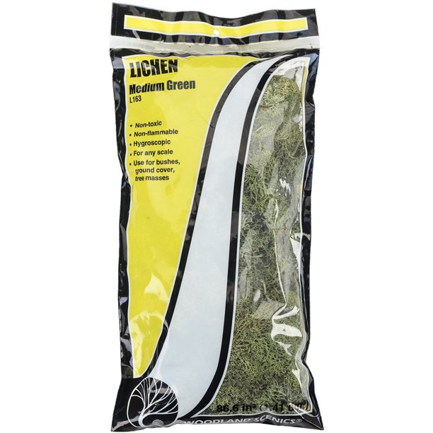Lichen - Medium Green