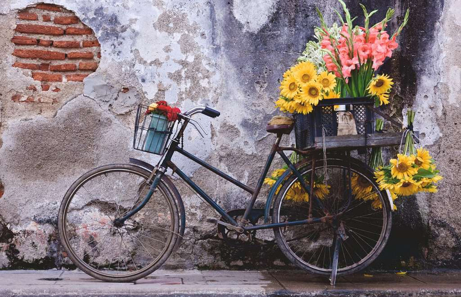 Ravens 200 - Moment - La bicyclette