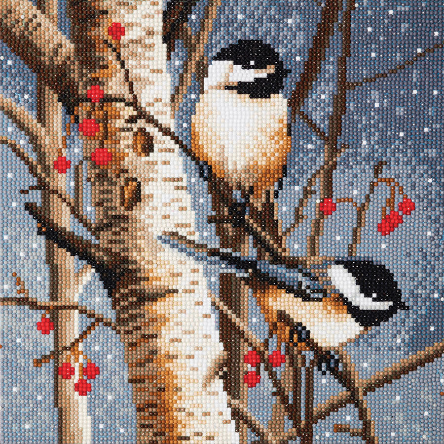Crystal Art Tableau à diamanter sur châssis de bois 30 x 30 cm Woodland Sprites