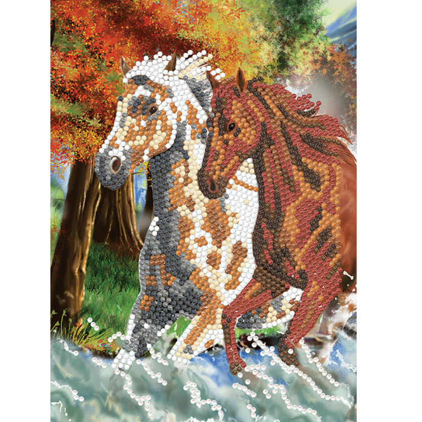 Crystal Art - Carnet - Wild Horses