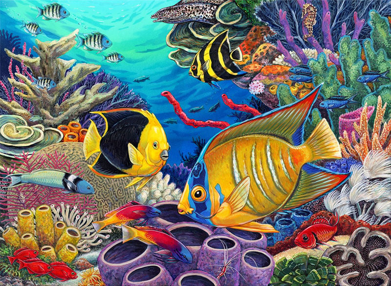 Royal & Langnickel – Painting by Numbers Junior Large - Récif des Caraïbes