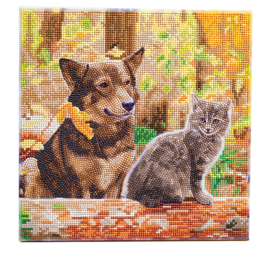 Craft Buddy - Crystal Art - Cat & Dog in the Woods (30 x30 cm)