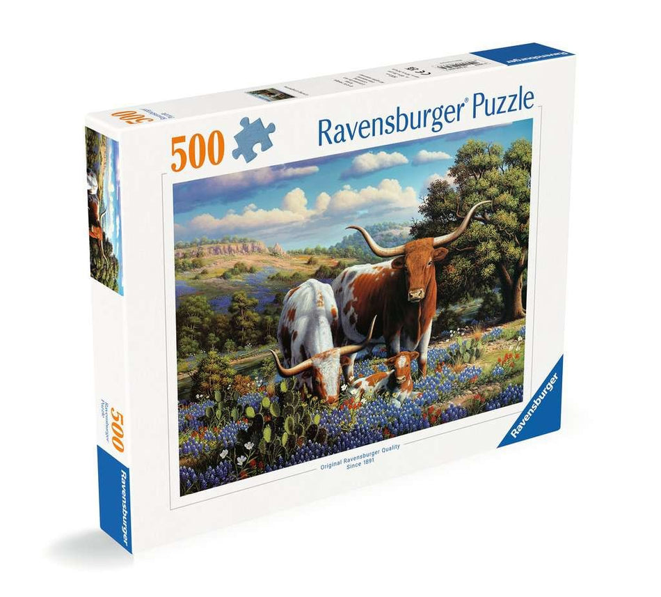 Ravens 500 - Loving Longhorns