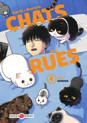 Manga - Hachi et Maruru Chats des rues Tome 04