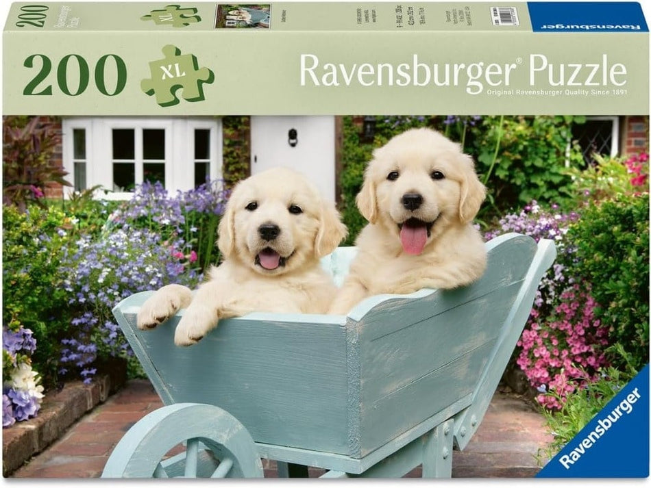 Ravens 200XL - Golden Retriever