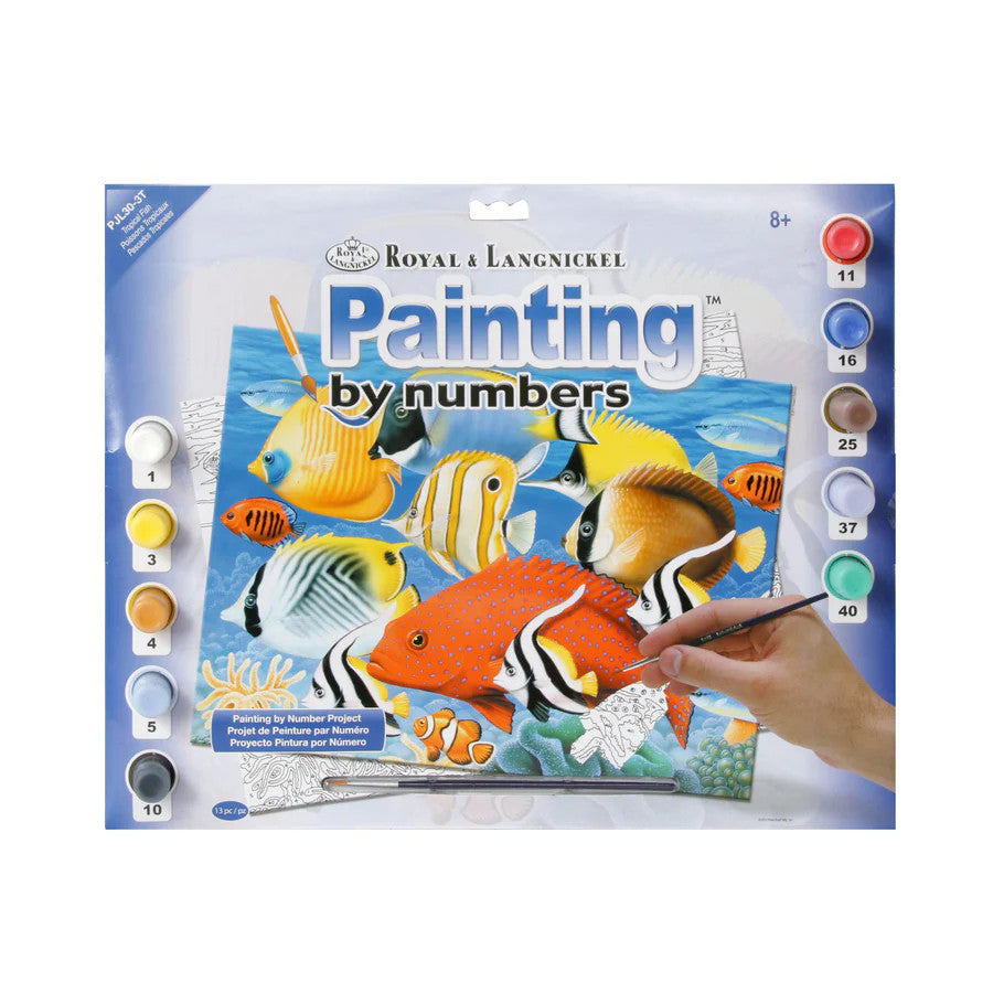 Royal & Langnickel - Painting by Numbers Large - Poissons Tropicaux