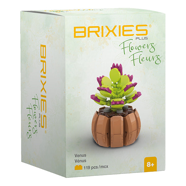 Brixies - Mini bouquet Venus