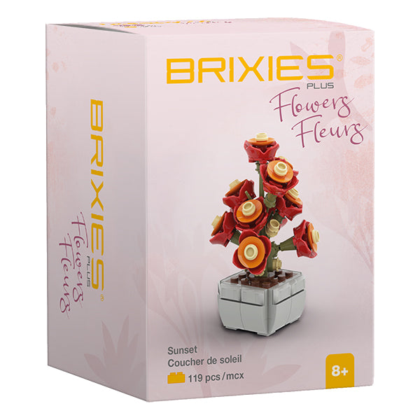 Brixies Flowers - Coucher de soleil