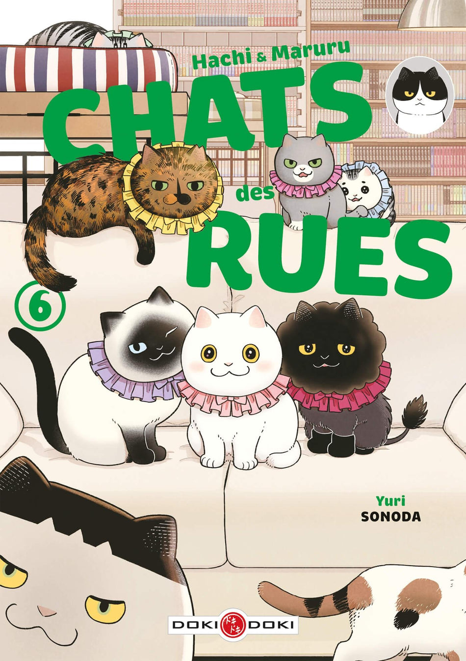 Manga - Hachi et Maruru Chats des rues Tome 06