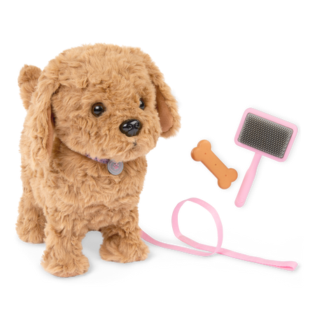 OG - Playful Paws - Chiot Goldendoodle