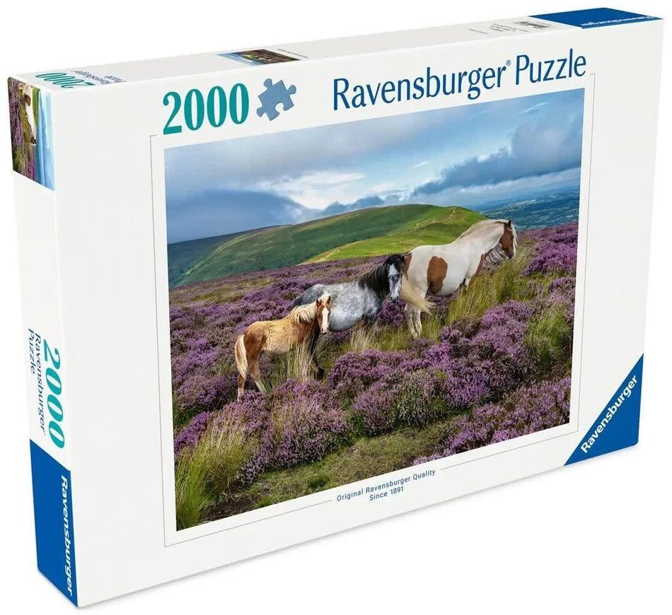 Ravens 2000 - Wild Horses in the Heather