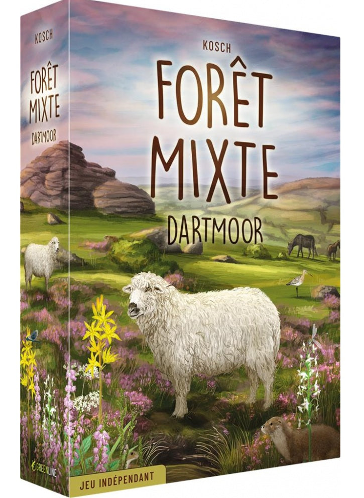 Forêt Mixte - Dartmoor