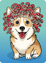Ravensburger 100 - Corgi forestier