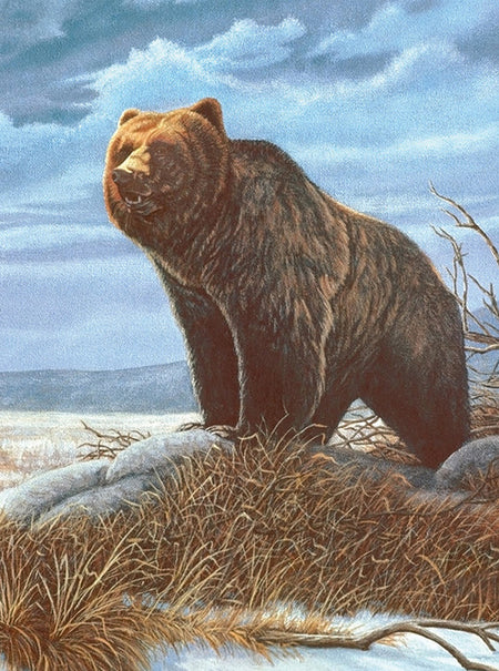 Painting by numbers - Grizzli
